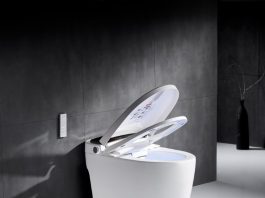 Toaleta Japoneză, un accesoriu inteligent 3 în 1
