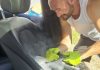 Detailing sau spălare tapițerie auto în Oradea? Alegerea fără confuzii Detailing sau spălare tapițerie auto în Oradea? Alegerea fără confuzii